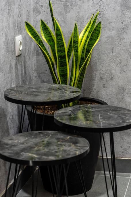 Coloris Rubrum Apartment *